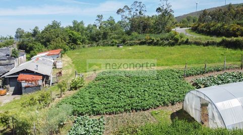Foto 3 de Finca rústica en venta en Muro Do Vasco, As Neves, 6, Ortigueira, A Coruña
