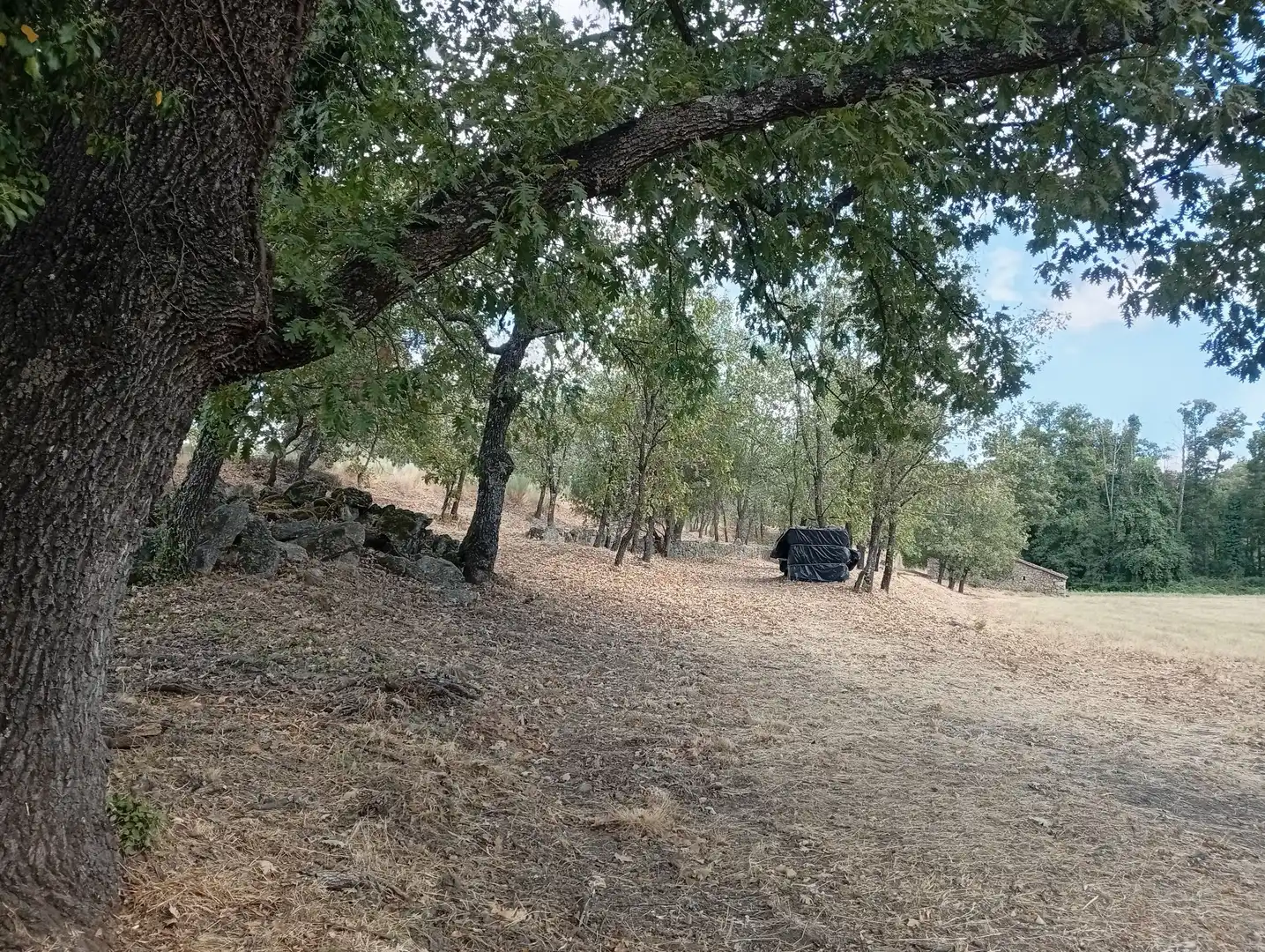 Terreni e lotti in vendita a Villanueva de la Vera, imagen 124