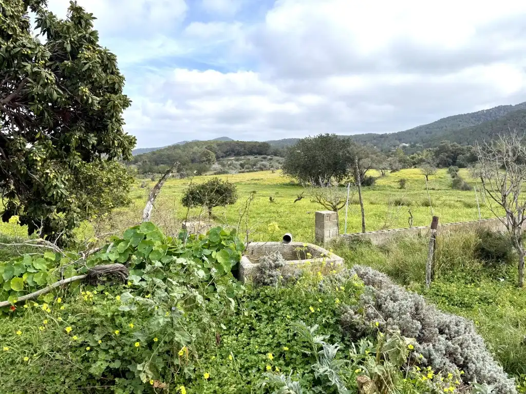 Casa o xalet en venda en Sant Josep de sa Talaia