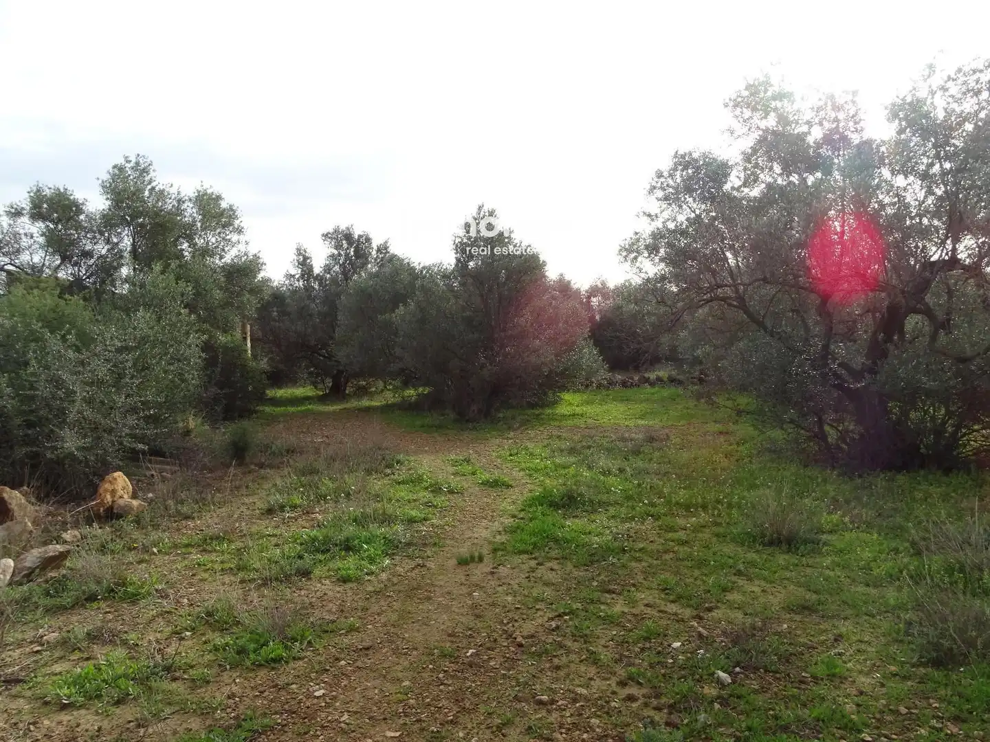 Terrain résidentiel à vendre à 16, imagen 10