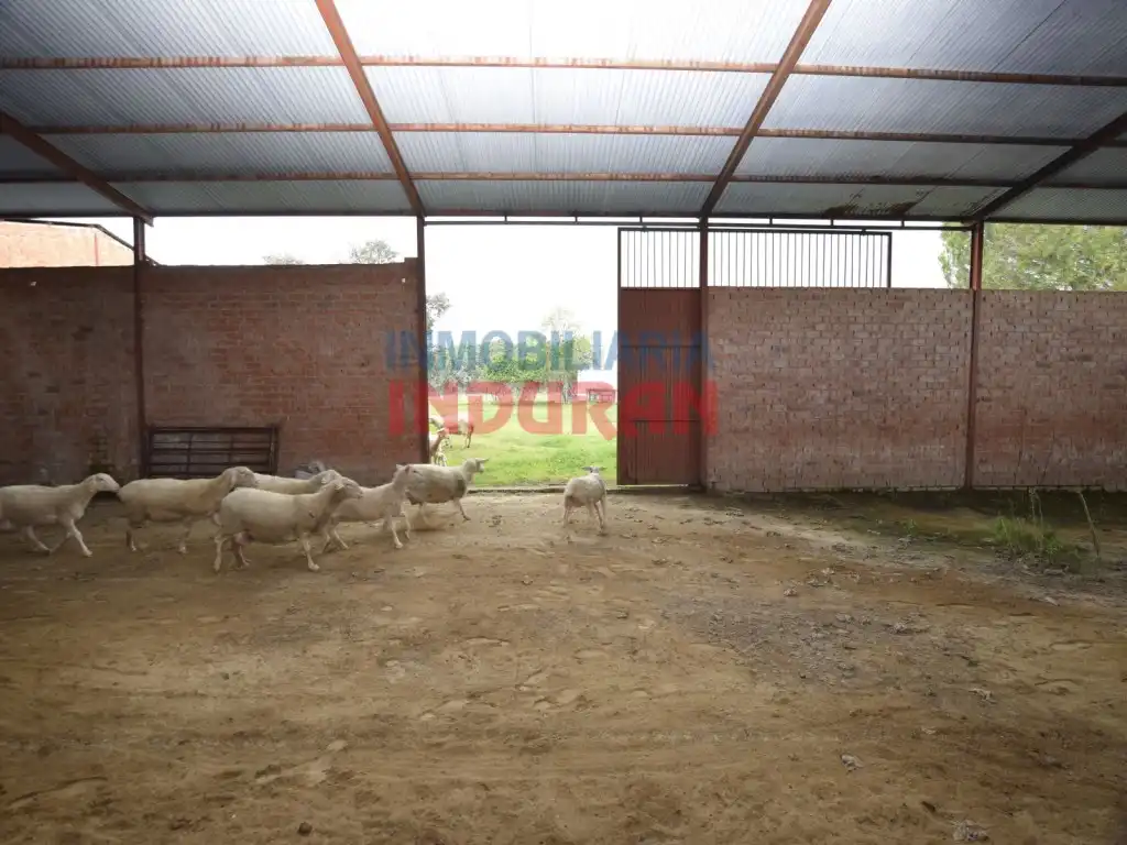 Finca rústica en venta en Peraleda de la Mata