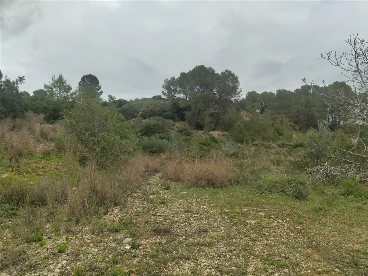 Terreno residencial en venta en Cantalars, Pol.9, Parc. 123(A,B,C Y D) Y Parcela 233. Barranco De Montell, imagen 19