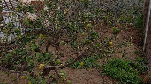 Photo 4 of Country house for sale in Los Gallardos, Almería