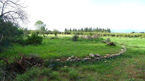 Foto 2 von Country house zum Verkauf in Llubí, Illes Balears