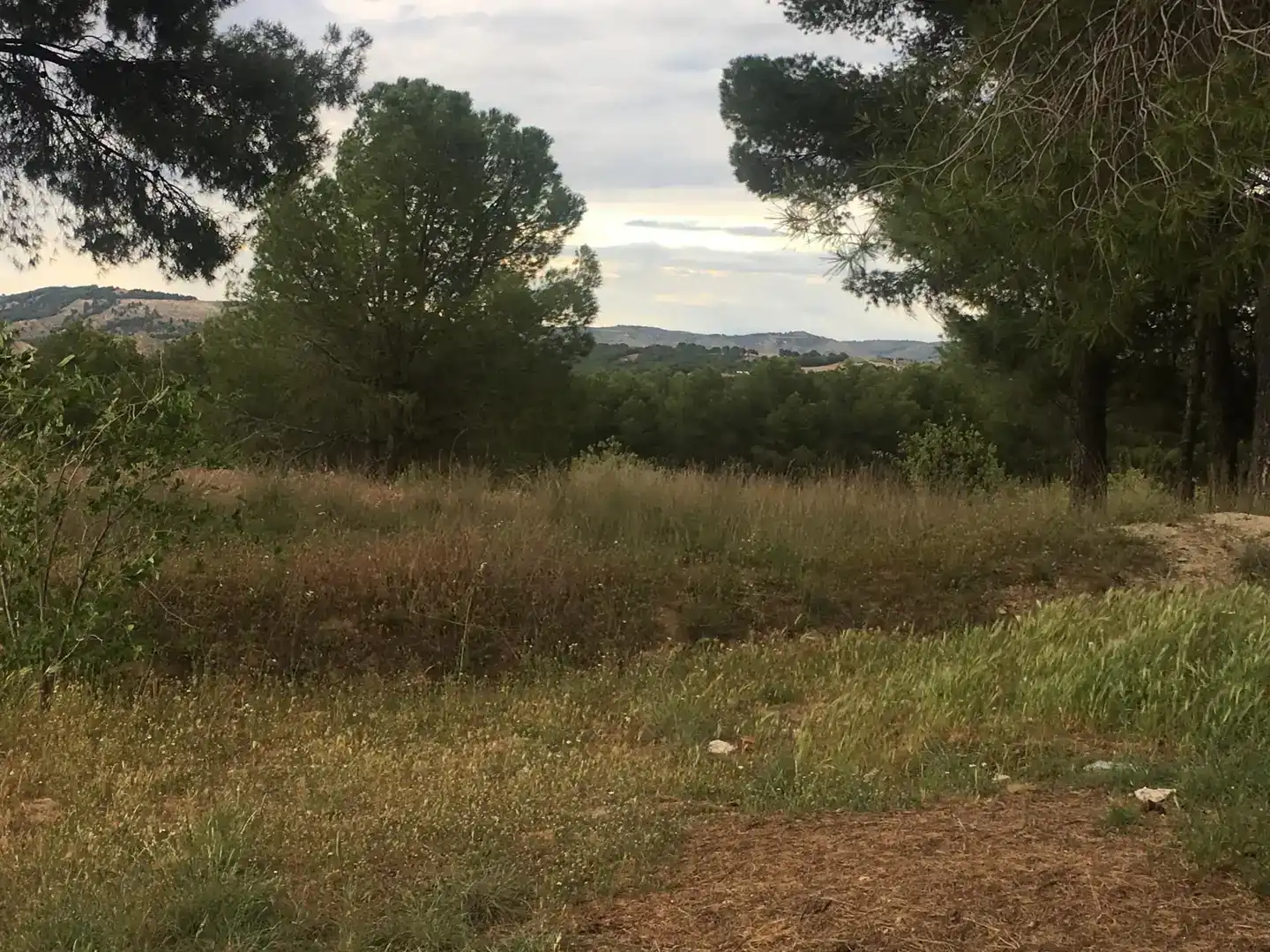 Terreno en venta en Villalbilla