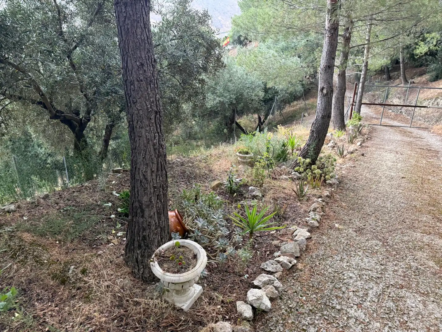 Garten von Country house zum Verkauf in Jaén mit Privatgarten, Terrasse und Schwimmbad