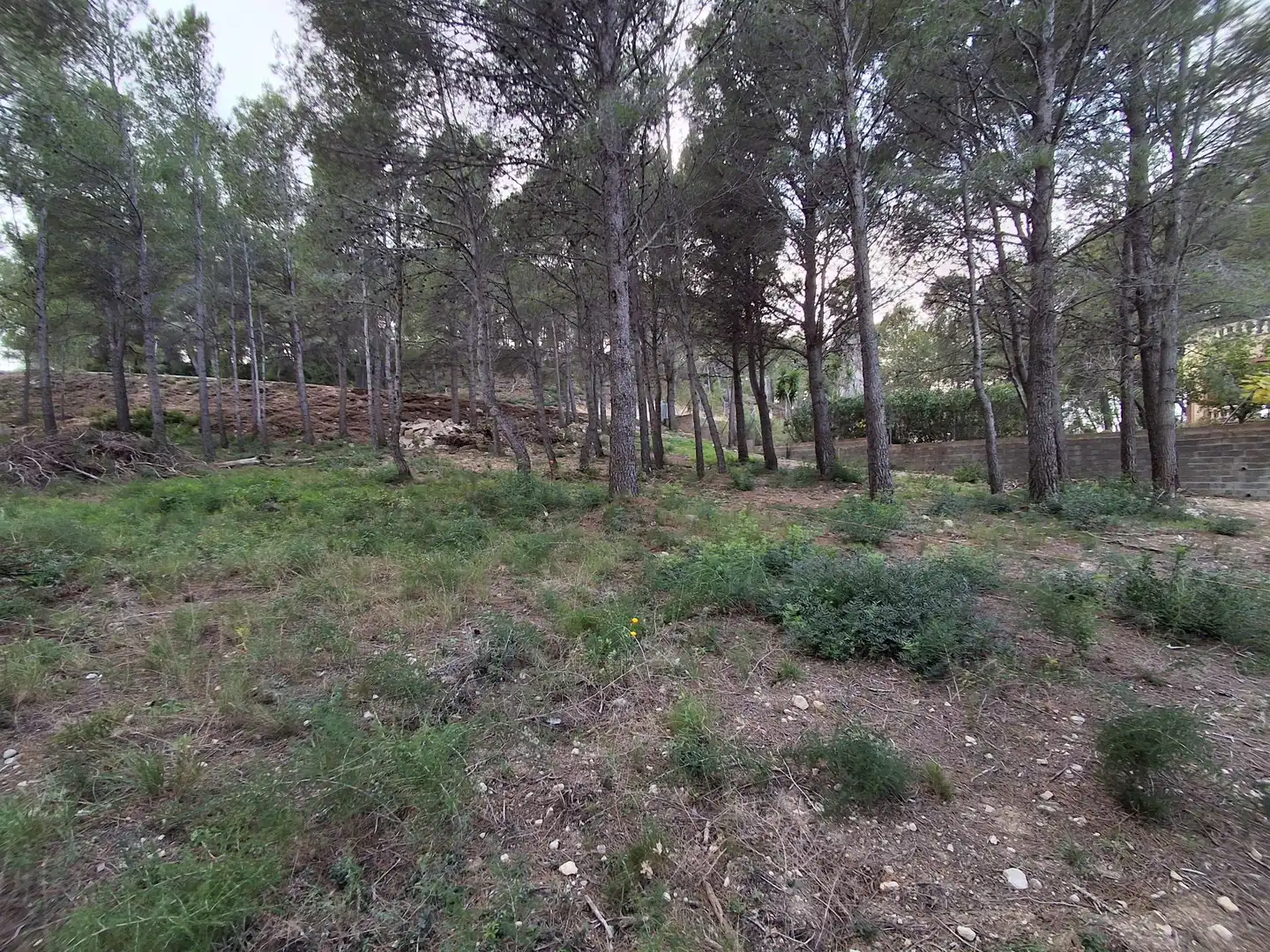 Residential zum Verkauf in Vandellòs i l'Hospitalet de l'Infant