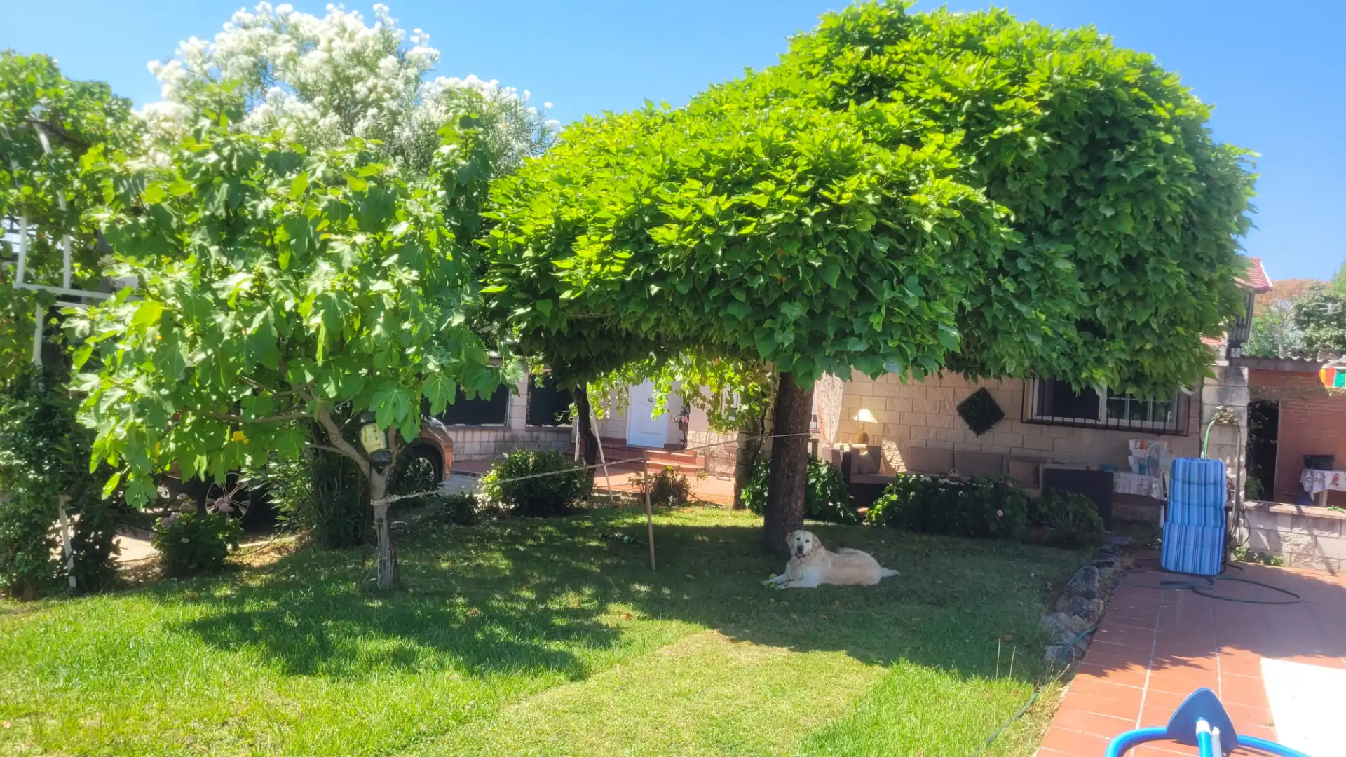 Jardín de Terreno en venta en Aldea del Fresno