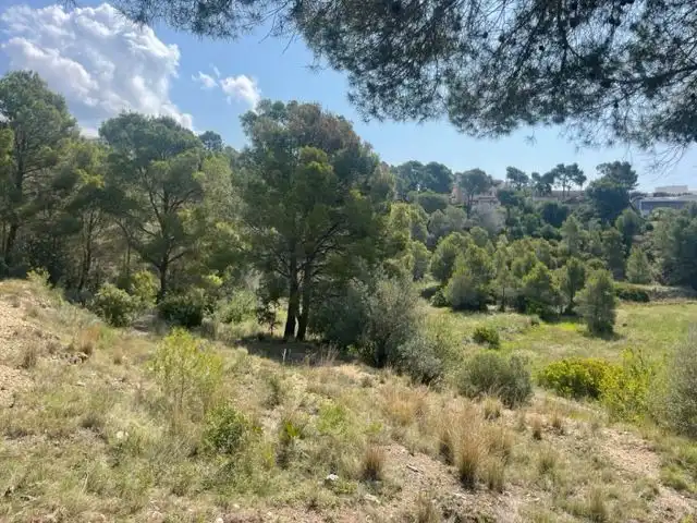 Wohnbaugrundstück zum Verkauf in Altea la Vella, imagen 14