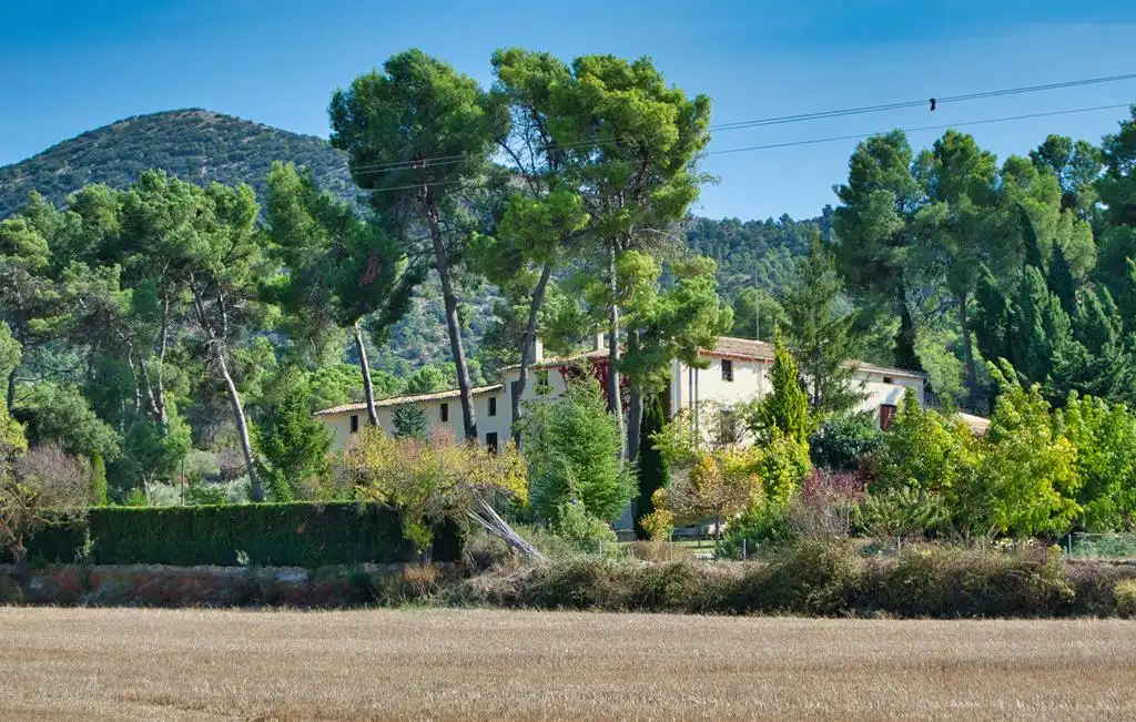 Casa rustica con terrazza in vendita a Batoi, imagen 5