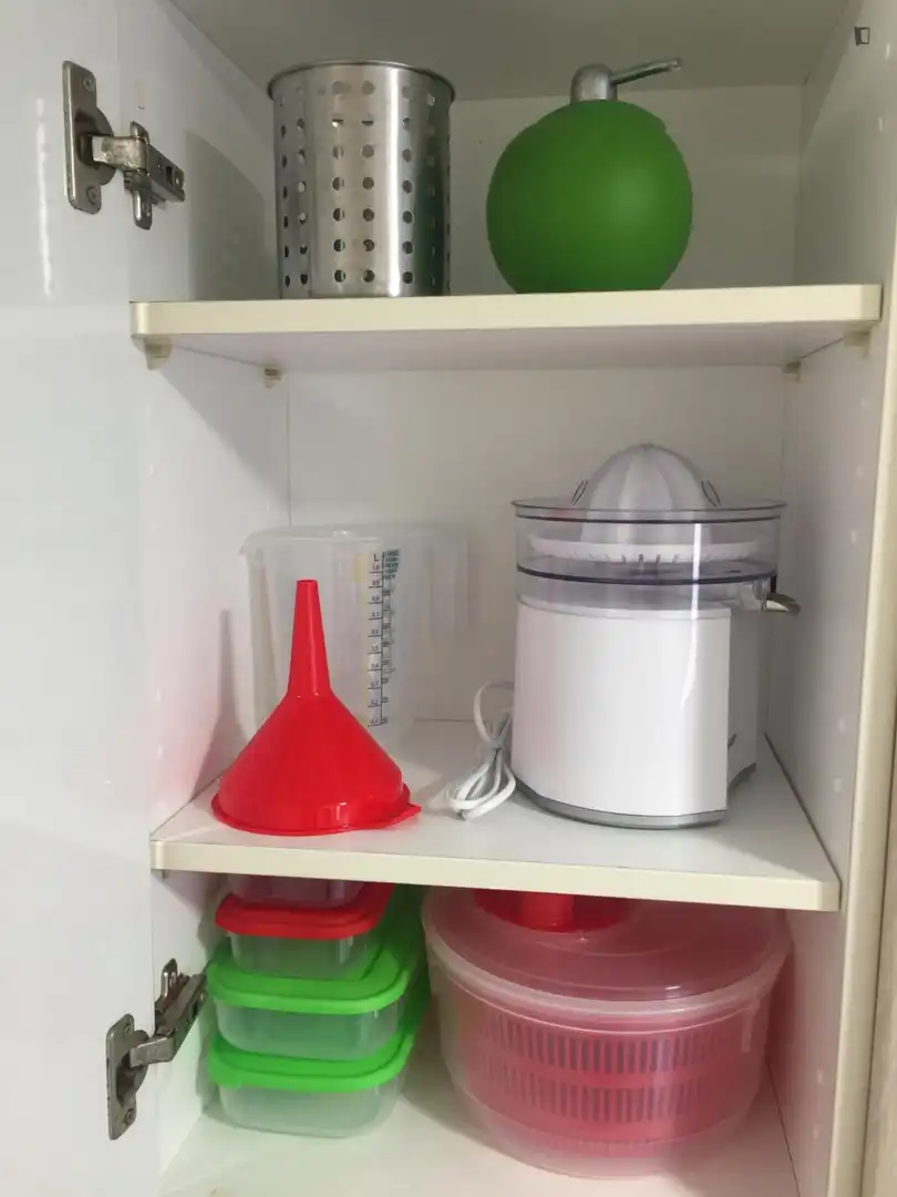 Apartments for rent in Valencia, Valencia