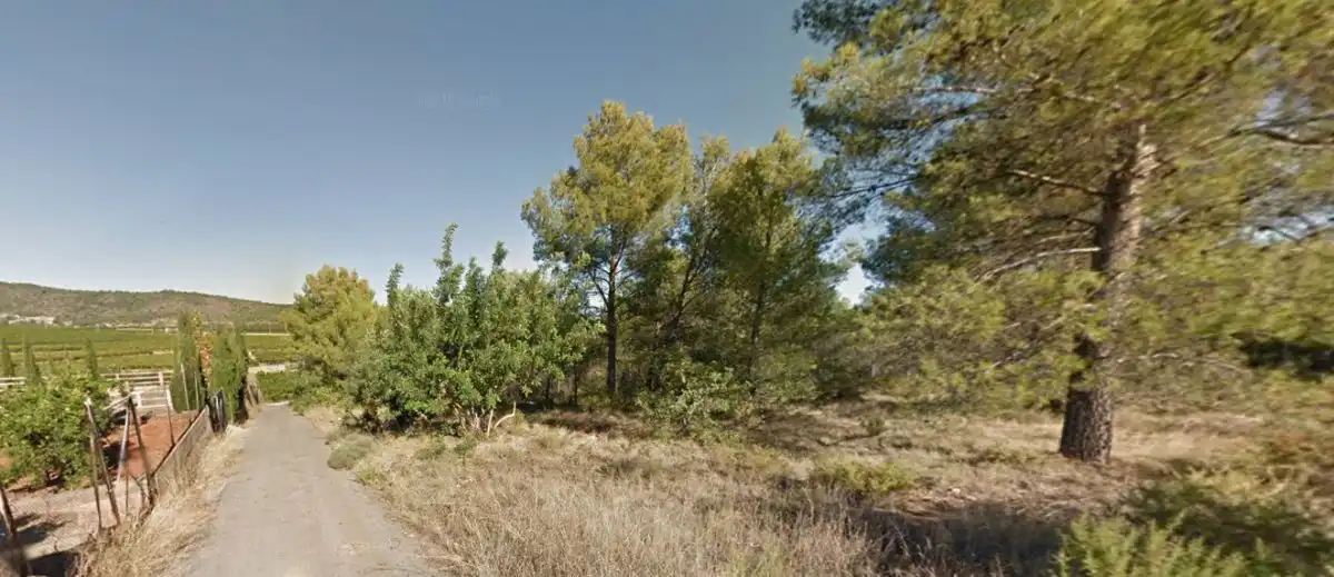 Rural land for sale in Onda, imagen 9