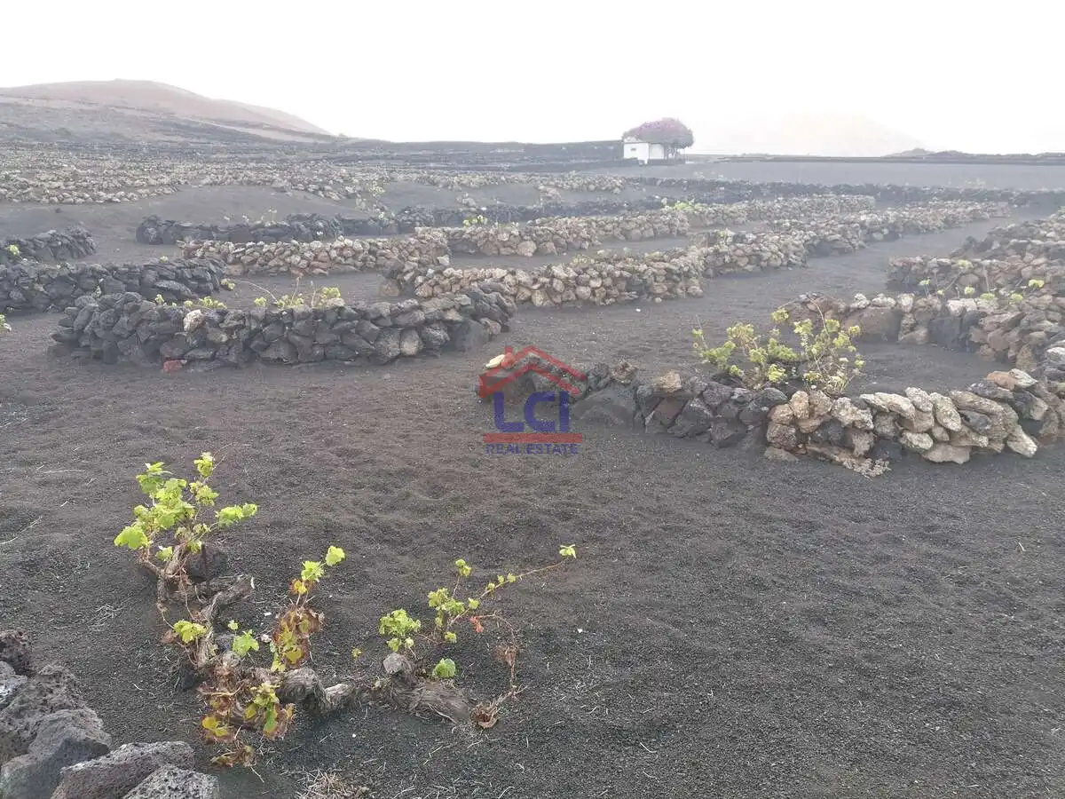 Terreno en venta en Yaiza