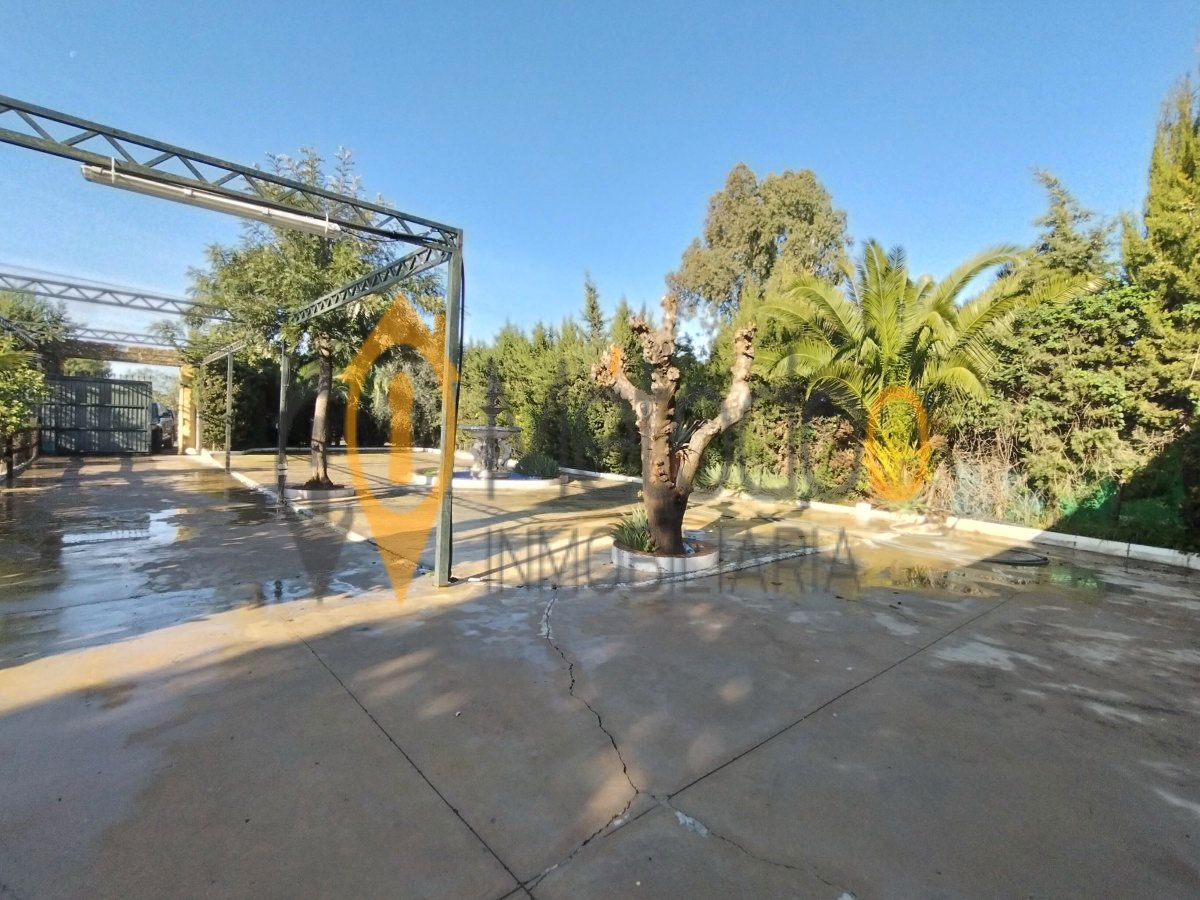 Jardí de Casa o xalet en venda en Carmona amb Aire condicionat, Jardí privat i Piscina