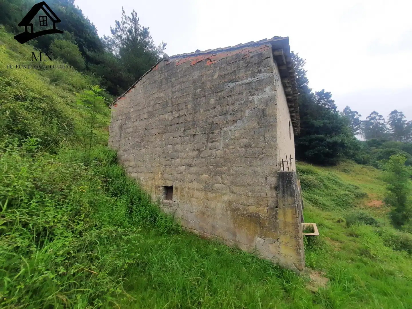 Vista exterior de Finca rústica en venta en Villacarriedo