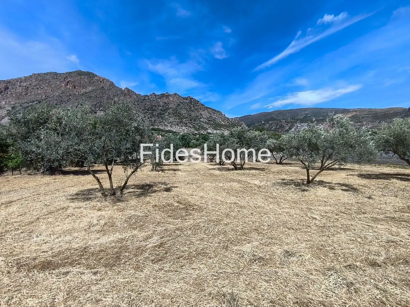 Rural land for sale in XFJ3+526 Nigüelas 0, imagen 13