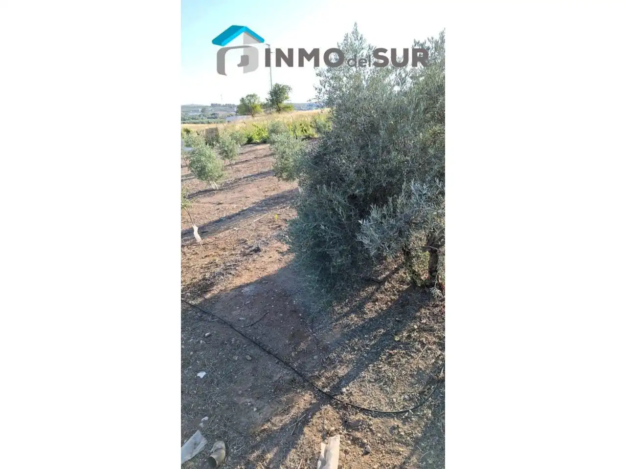 Terrain rustique à vendre à Camino Isla de la Moza, imagen 30