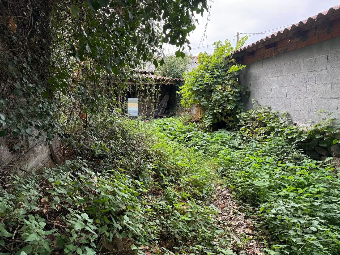 Haus oder Chalet zum Verkauf in Sandiás, Ourense