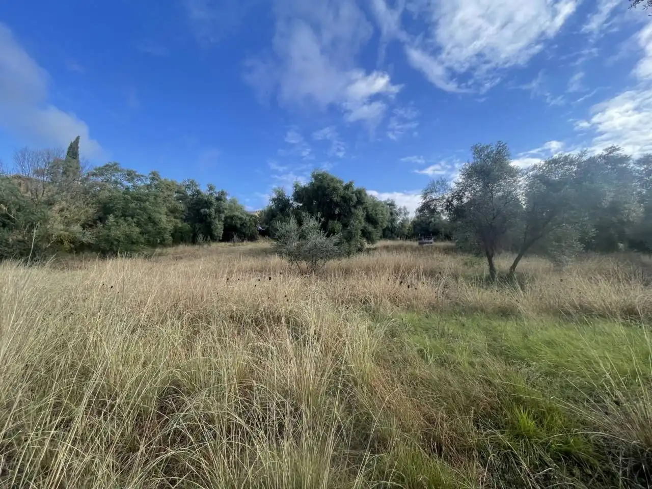 Terreny residencial en venda a Calle olivet del veinat, imagen 9