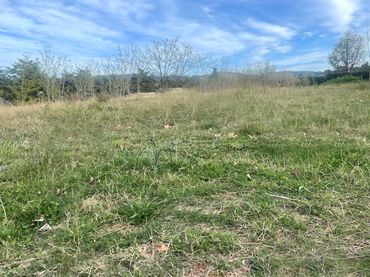 Terreny residencial en venda a Arxiu