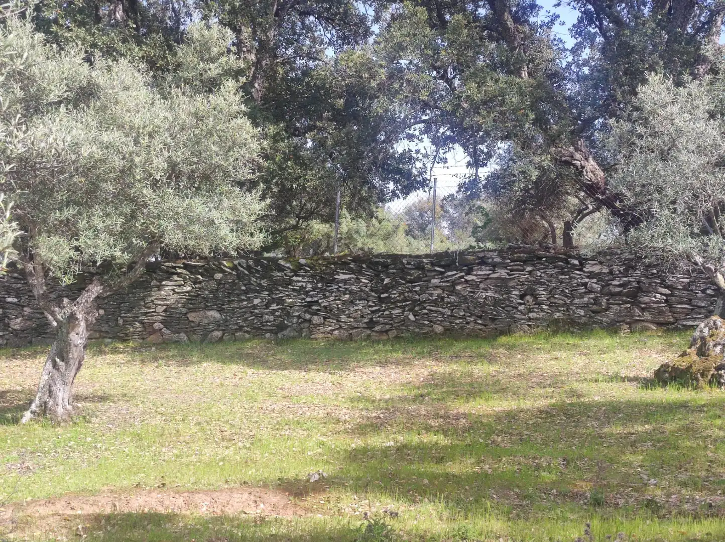 Terreni e lotti in vendita a Miralvalle - Av. Virgen del Puerto - La Data, imagen 8