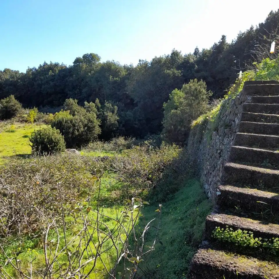 Rural land for sale in Hoya De Manzaneros, imagen 4