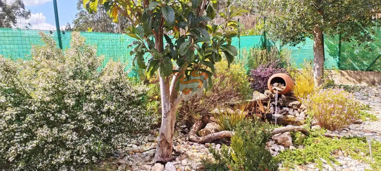 Home with garden for sale in San Sadurniño, imagen 10