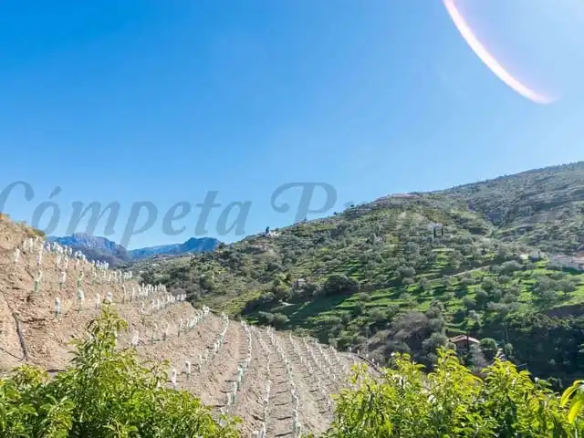Terreni e lotti in vendita a Cómpeta, imagen 9