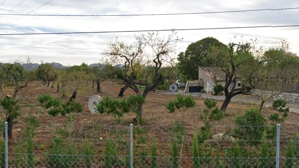 Terreno rústico en venta en Pollença Poble, imagen 4