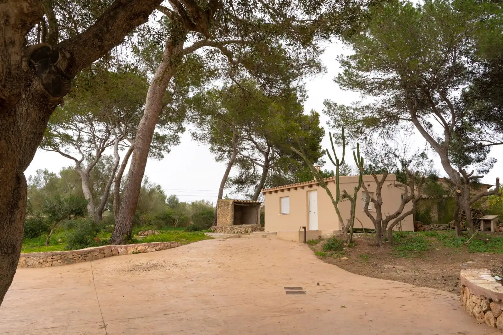 Vista exterior de Finca rústica en venda en  Palma de Mallorca amb Aire condicionat, Calefacció i Jardí privat