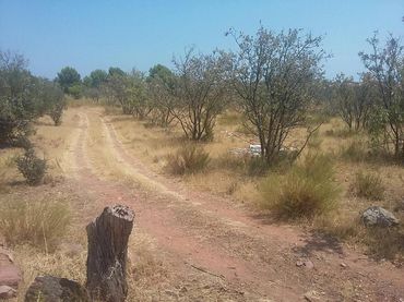 Terreny residencial en venda a Heliópolis