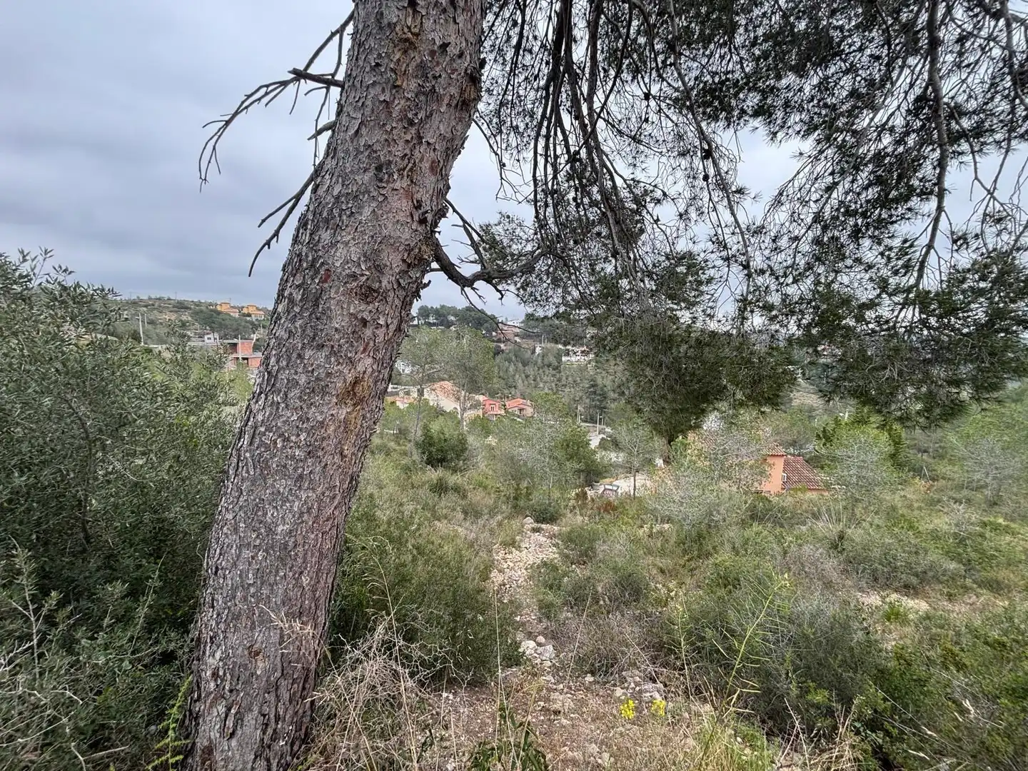 Wohnbaugrundstück zum Verkauf in Olivella, imagen 26