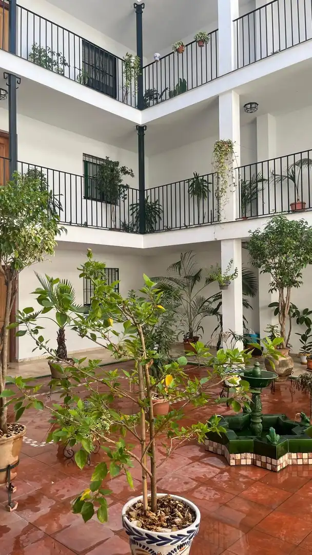 Terraza de Piso de alquiler en Sevilla