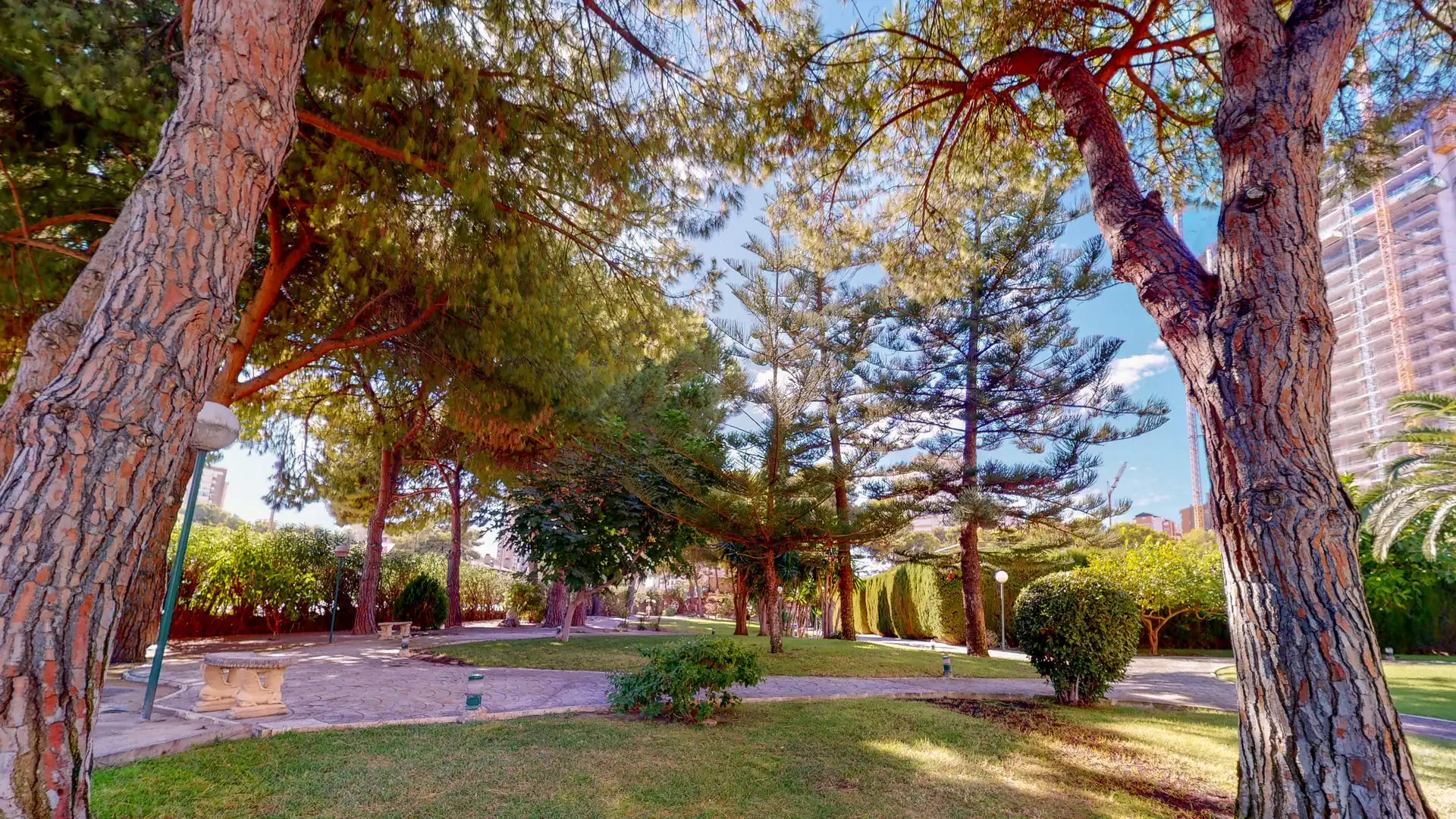 Jardín de Piso en venta en Benidorm con Piscina, Amueblado y Piscina comunitaria