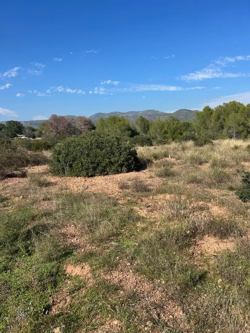 Terreno rustico in vendita a Plaça Poligono N-05.R