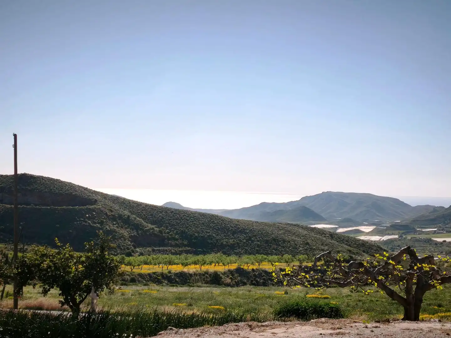 Terrains et parcelles à vendre à MORATA, imagen 43
