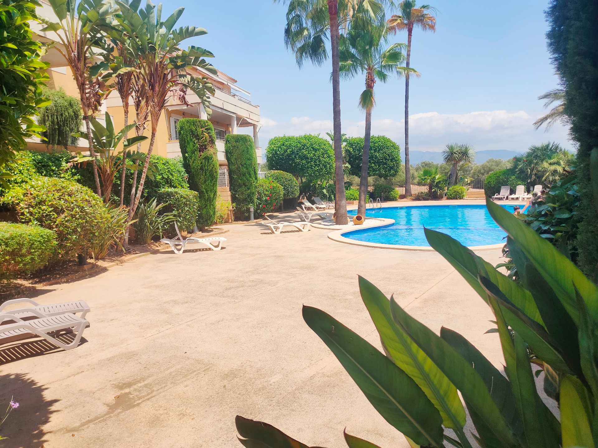 Piscina de Planta baixa de lloguer en  Palma de Mallorca amb Aire condicionat, Calefacció i Terrassa