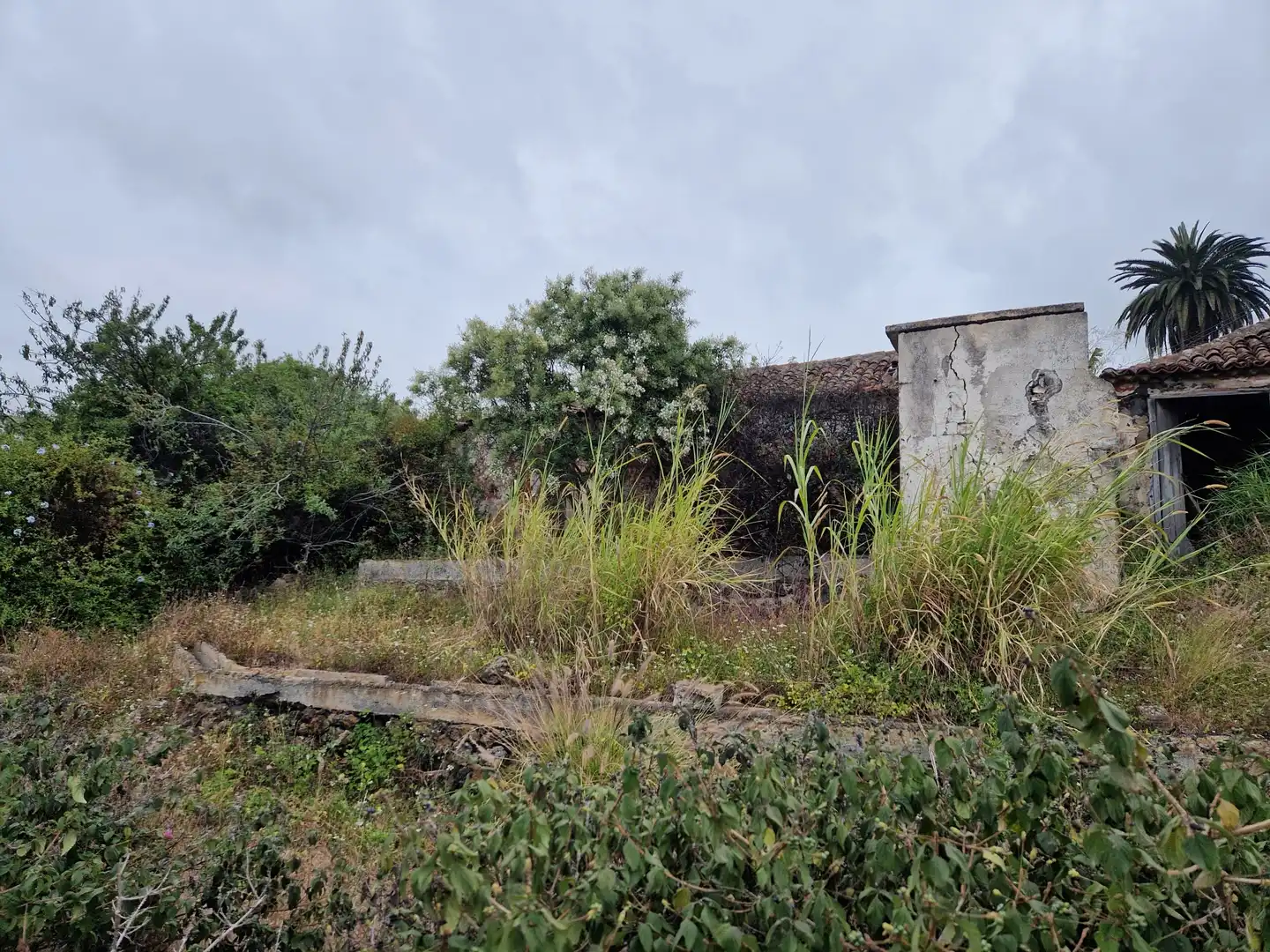 Terreno en venta en Puerto de la Cruz