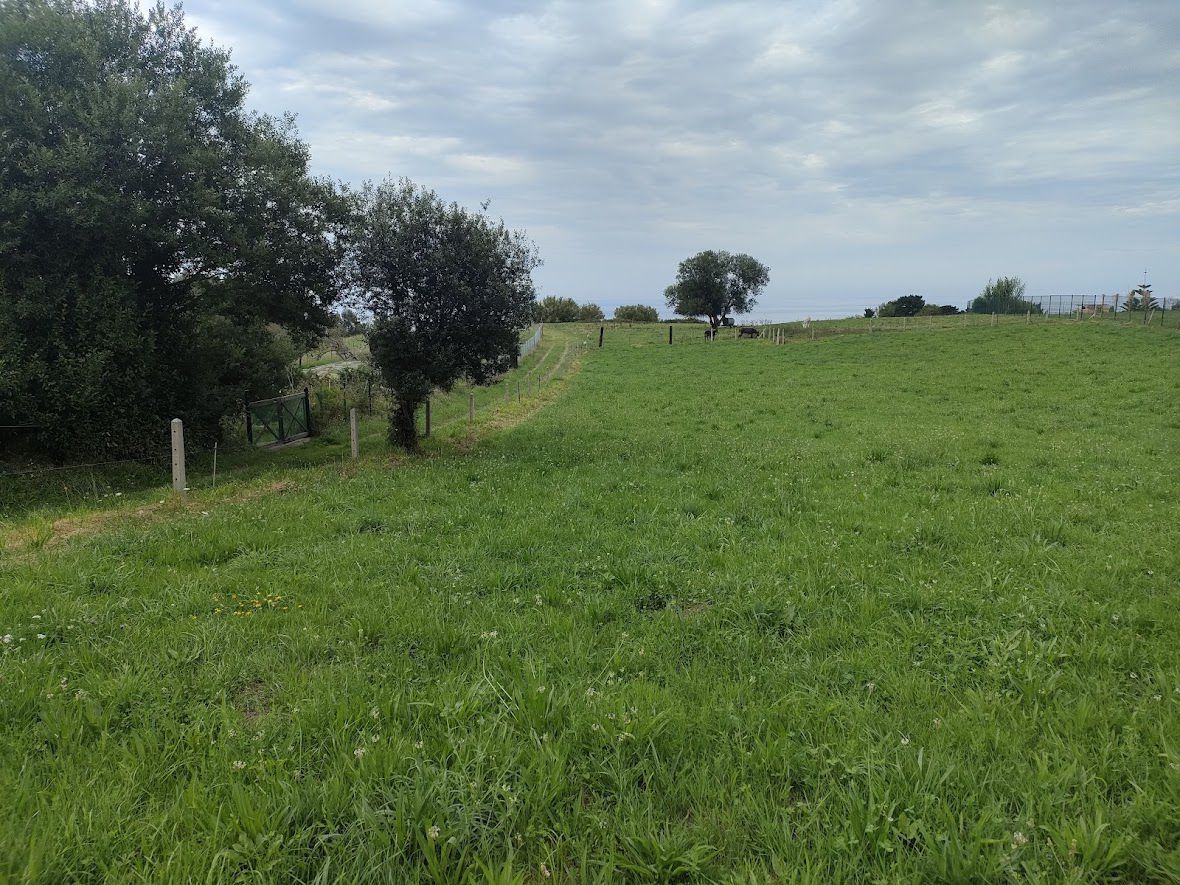 Finca rústica en venta en Villaviciosa