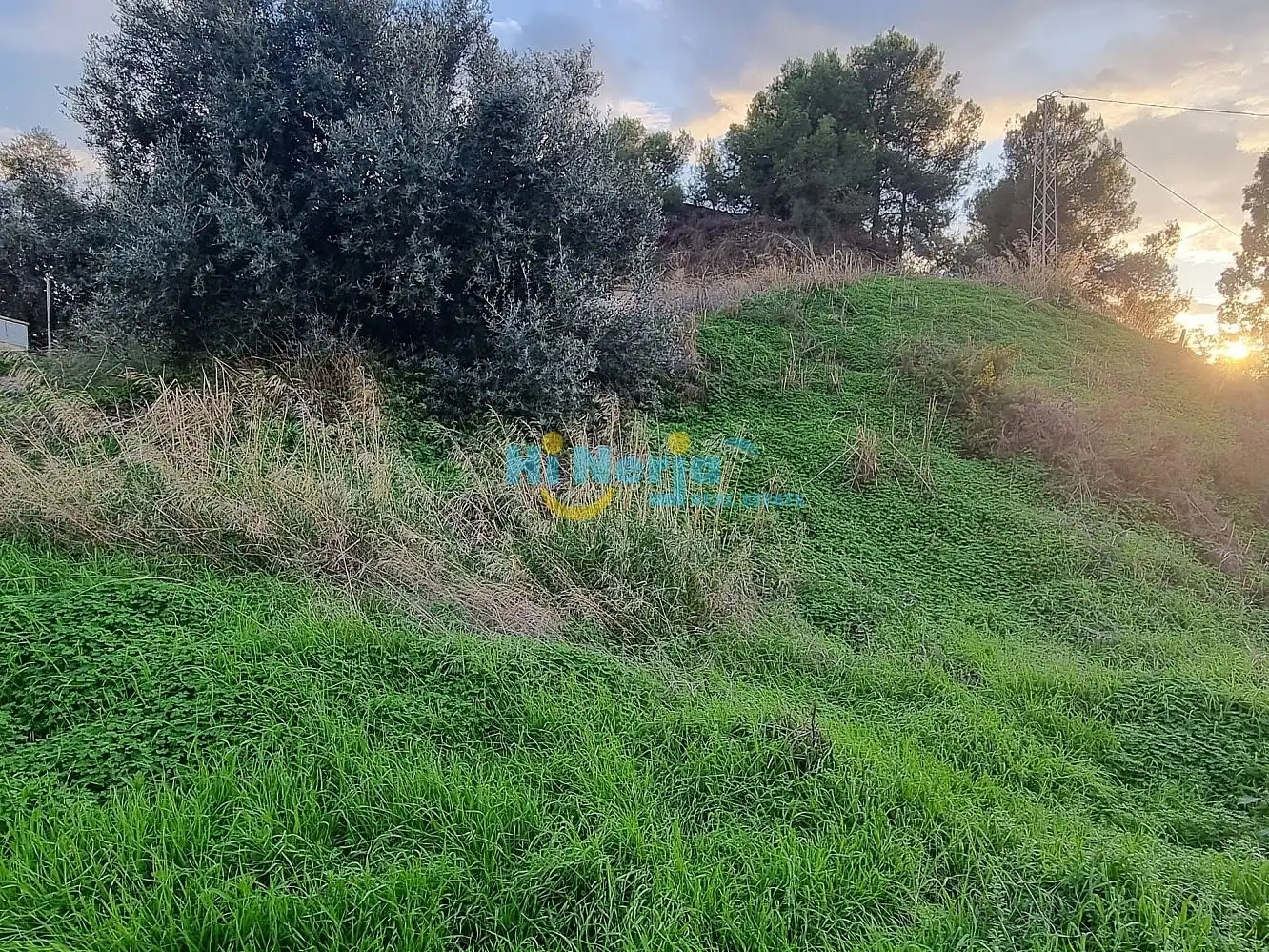 Houses for sale in Nerja
