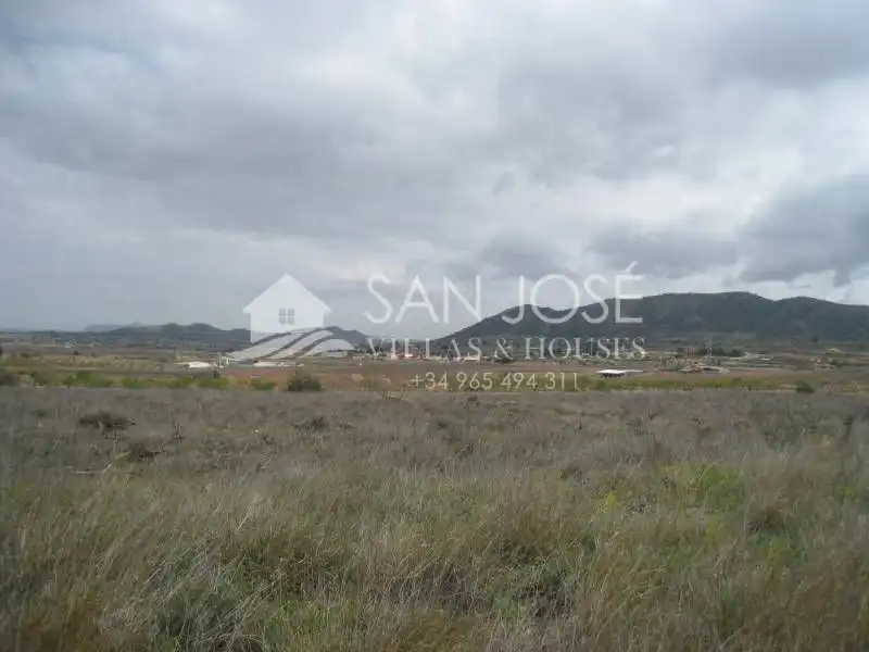 Terreny rústic en venda a La Romana, imagen 7