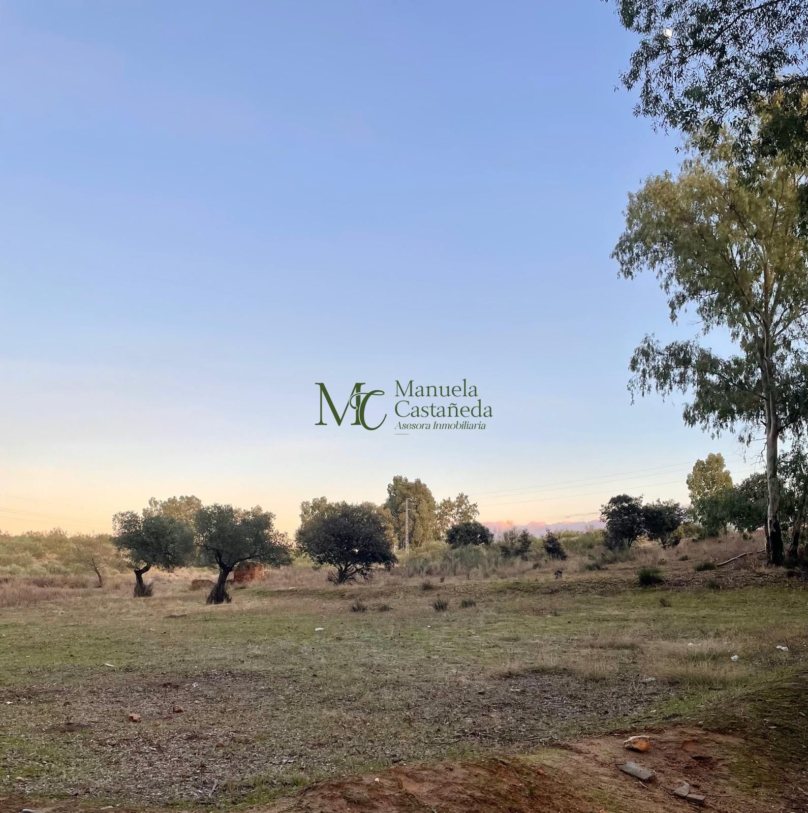 Finca rústica en venta en Mérida