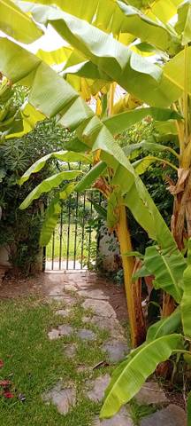 Casa adosada en Venta en Marina de Casares