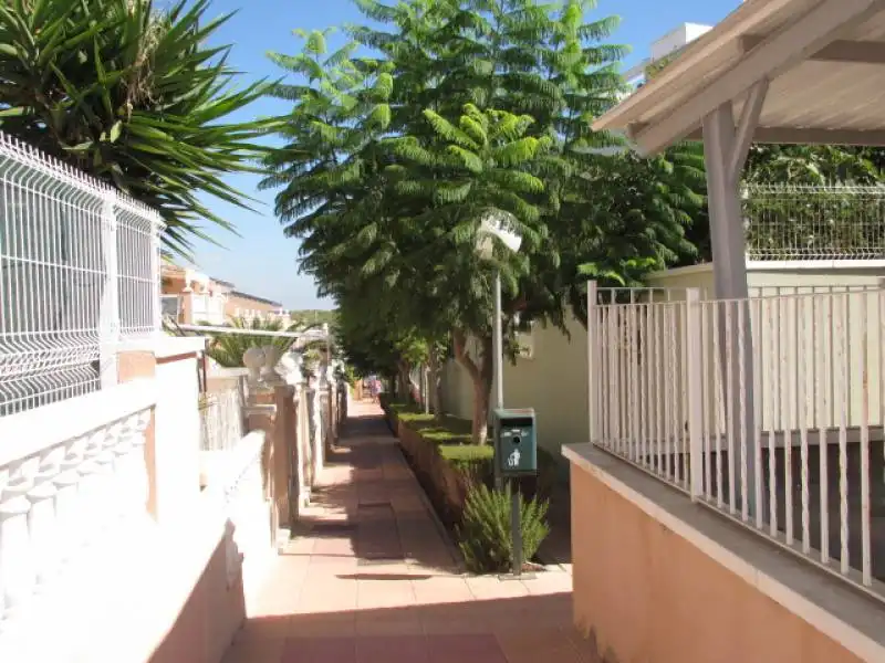 Duplex with pool to rent in Avenida CARABASSI, imagen 24