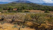 Finca rústica en venda a  Santiago, Jarandilla de la Vera, imagen 3