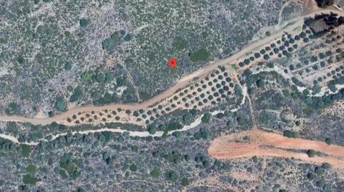 Foto 5 de Terreno en venta en Les Alqueries 7, 6, Santa Ana, Valencia