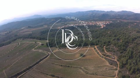 Foto 4 de Finca rústica en venda a El Molar (Tarragona), Tarragona