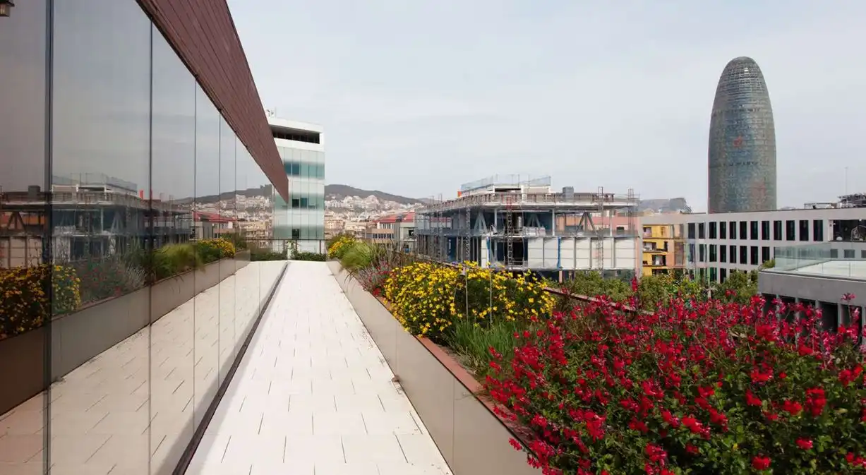 Oficina amb ascensor de lloguer a Carrer d'Àlaba, imagen 8
