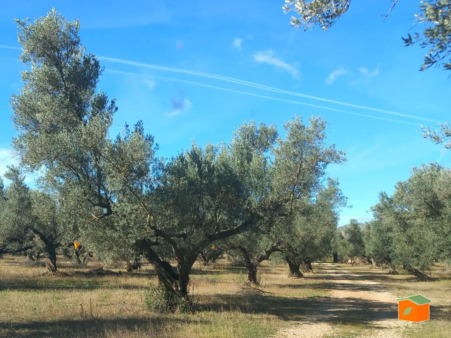 Terreno rustico in vendita a Mas de Barberans, imagen 7