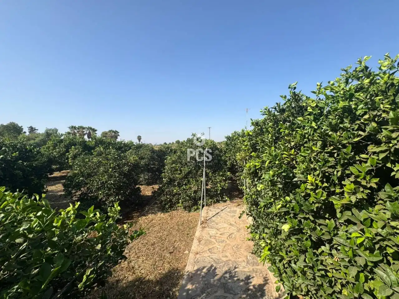 Xalet amb piscina en venda a Avenida Alrededores de Alhama S/N, imagen 20